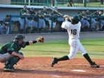 Dolphins force Bulls to settle with series split