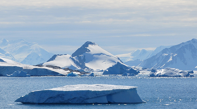 Antarctic research breaks ice on biodrugs