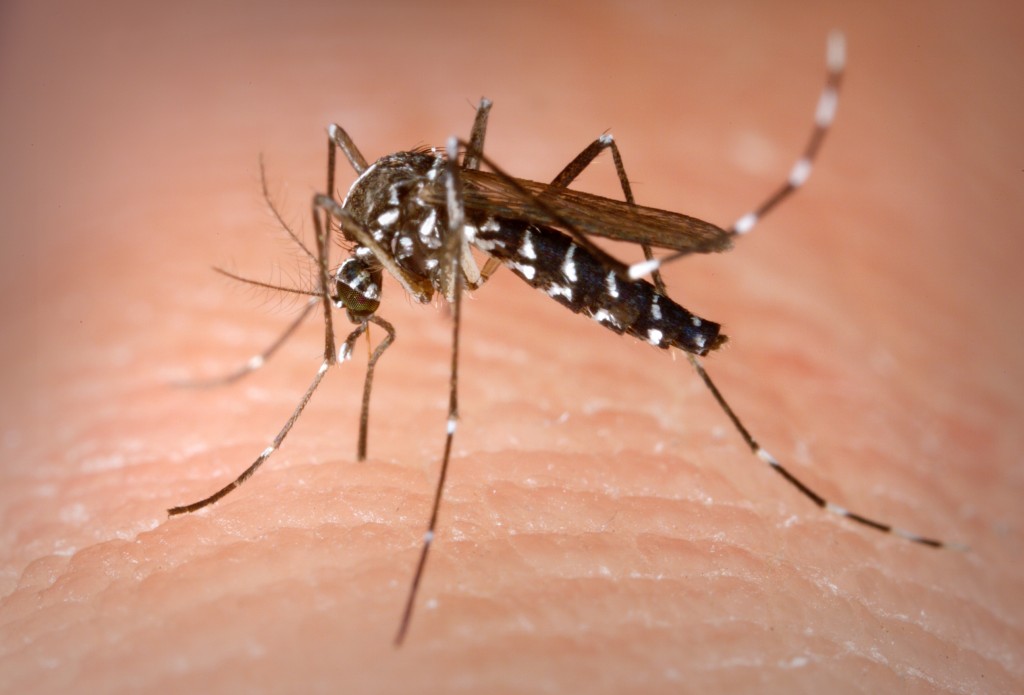 Florida leaders work to combat the Zika virus