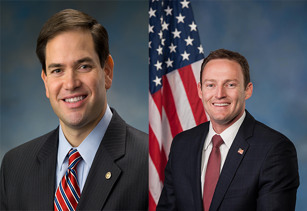 The race for the Senate:  Rubio and Murphy