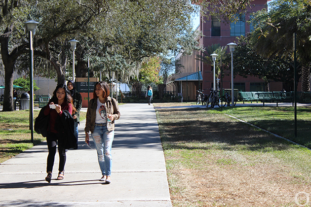 USF students reflect on fall semester