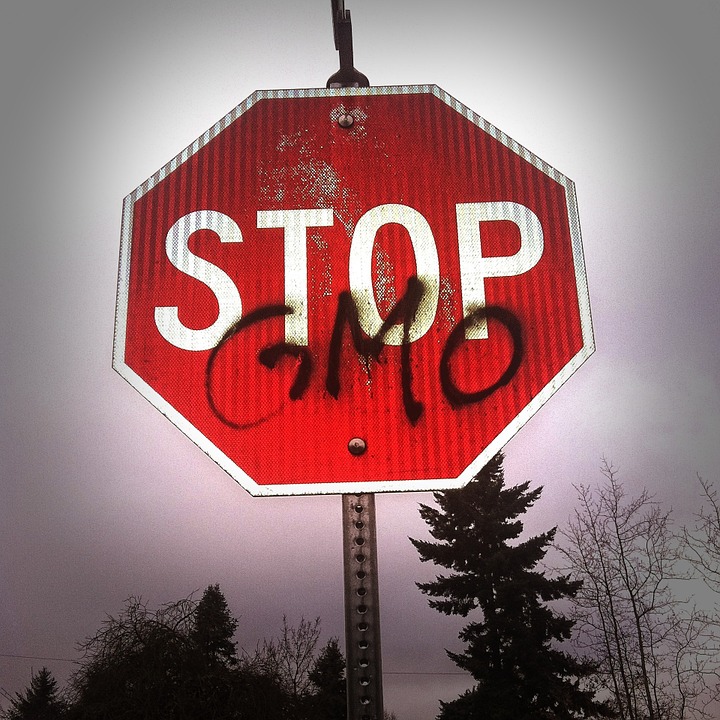 Genetically modified crops are a disappointment