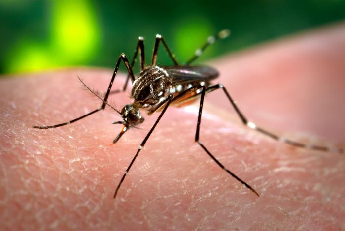 Zika research funding to inspire classes