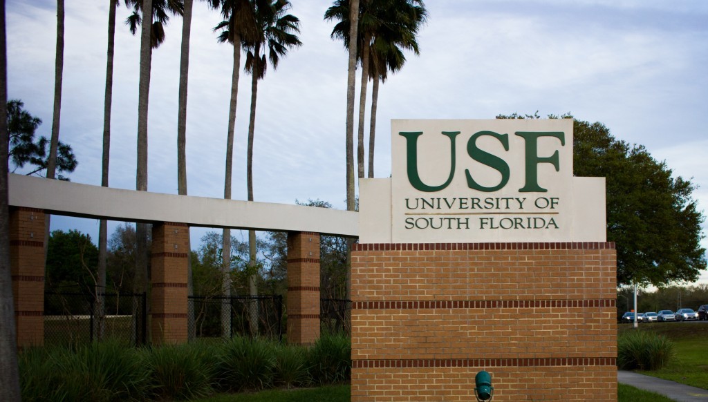 Chairman appointed to task force created to oversee USF consolidation
