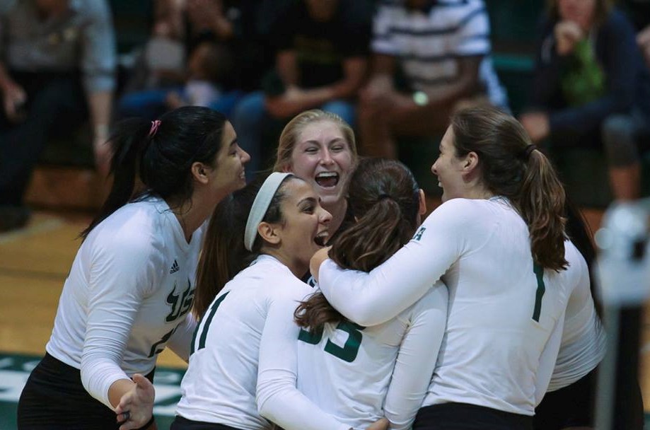 USF volleyball has nearly-perfect start to its season