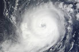 USF community impacted by Hurricane Michael