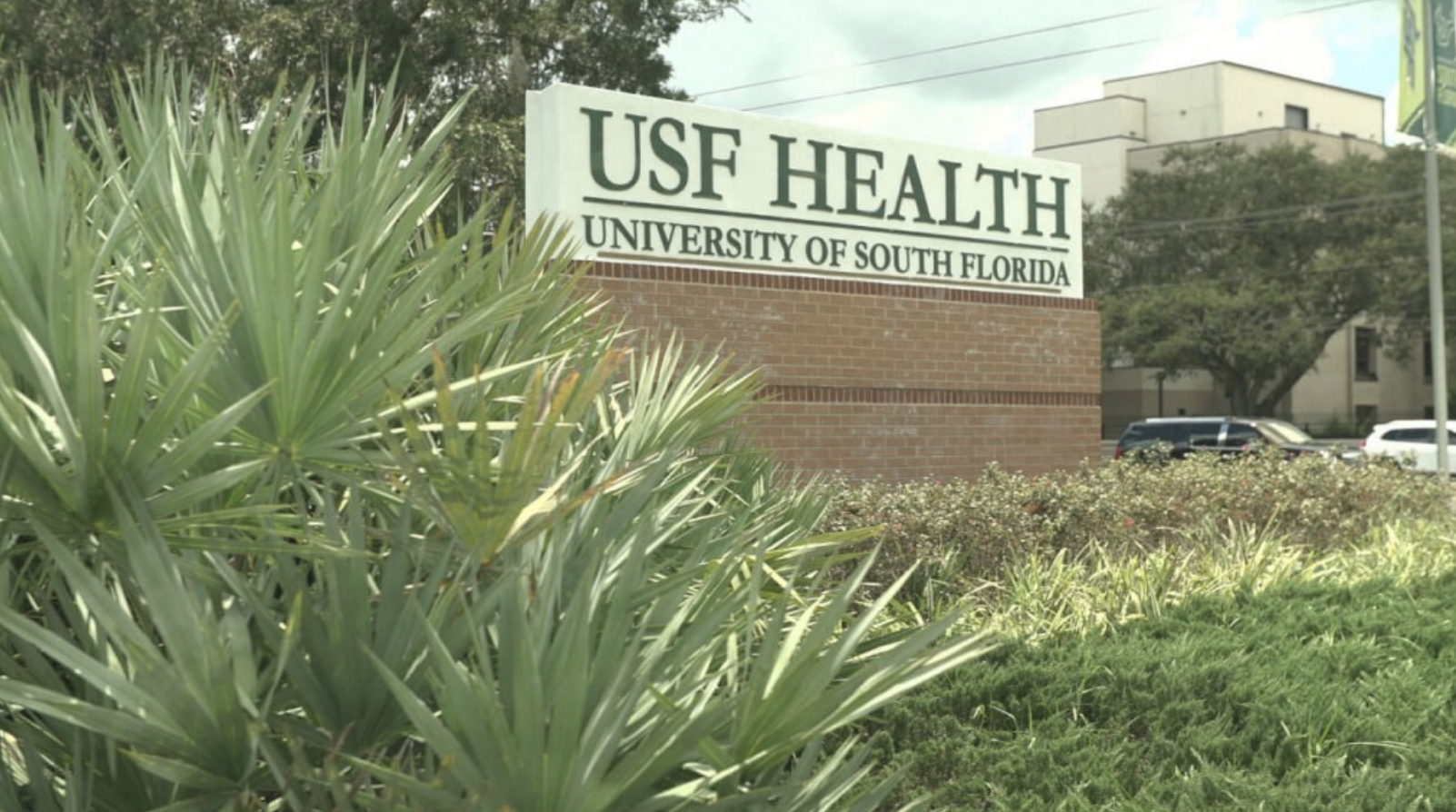 USF Health provides a helping hand to women veterans