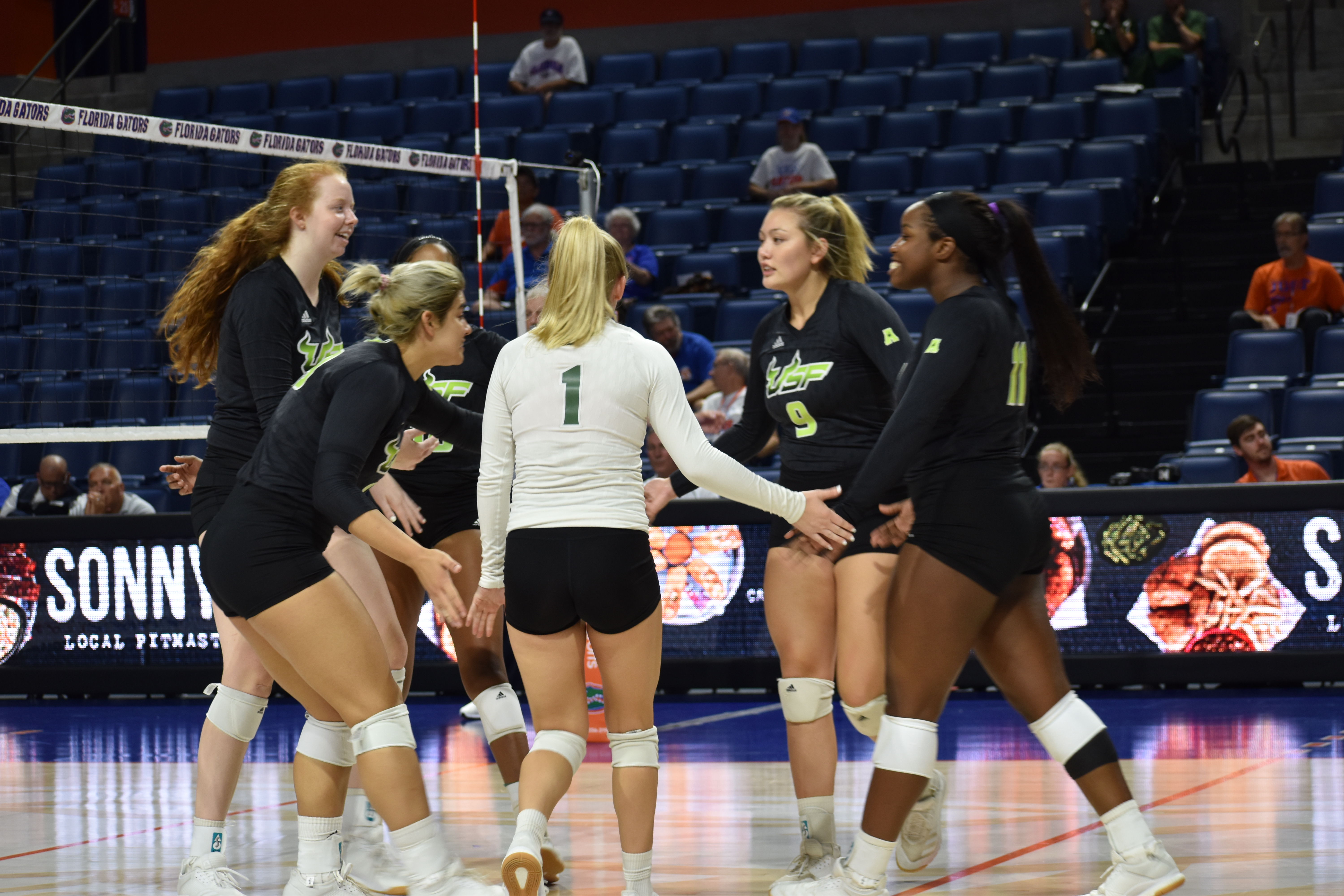 Volleyball battles in series split with Temple