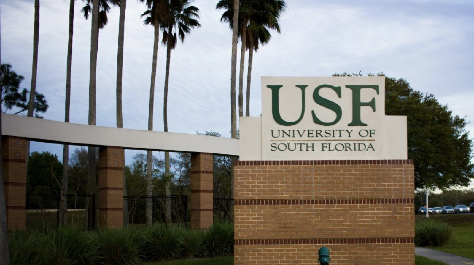 USF might still be in phase II of reopening plan in fall, leadership says