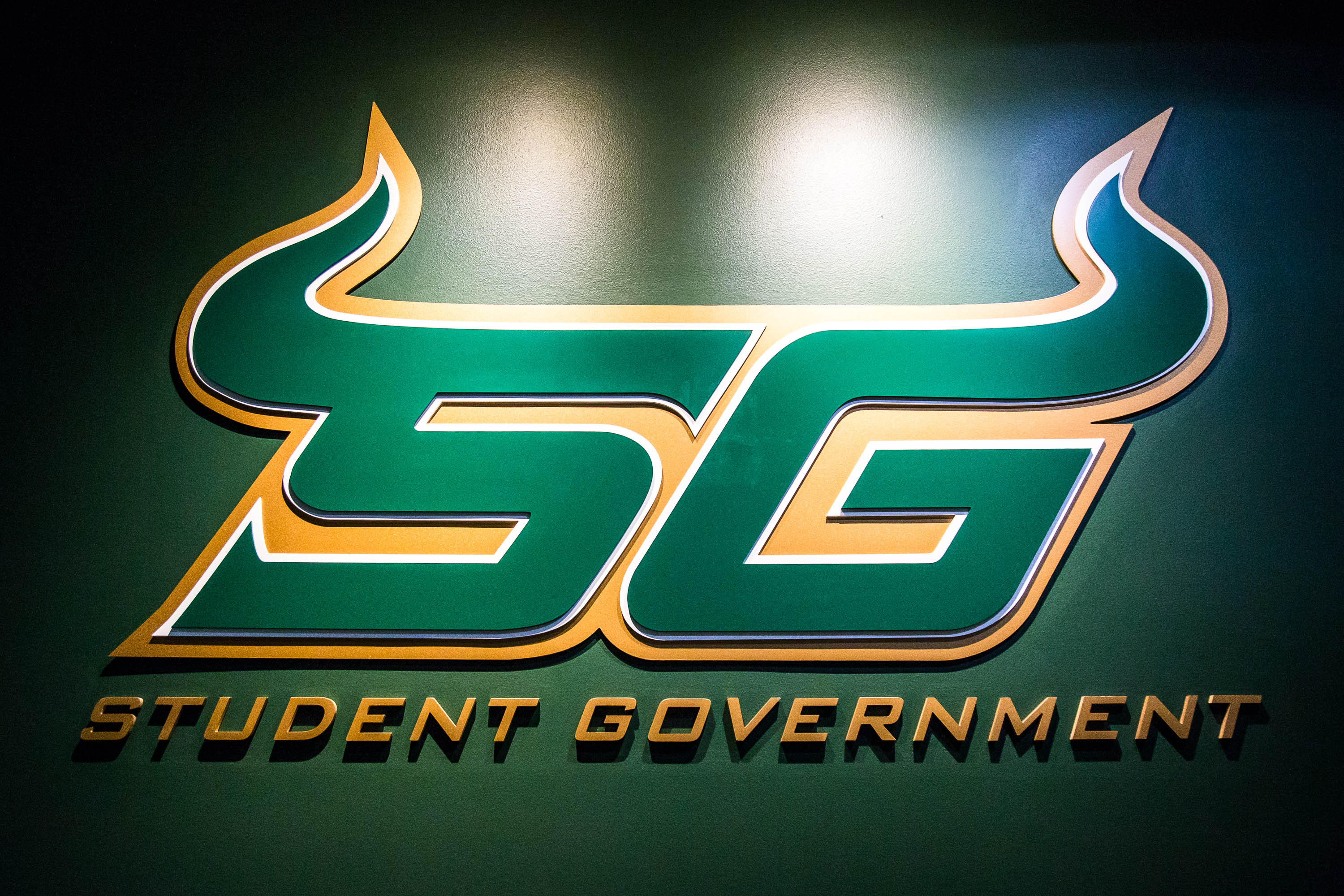 SG Senate’s first remote meeting addresses student fees, budgets