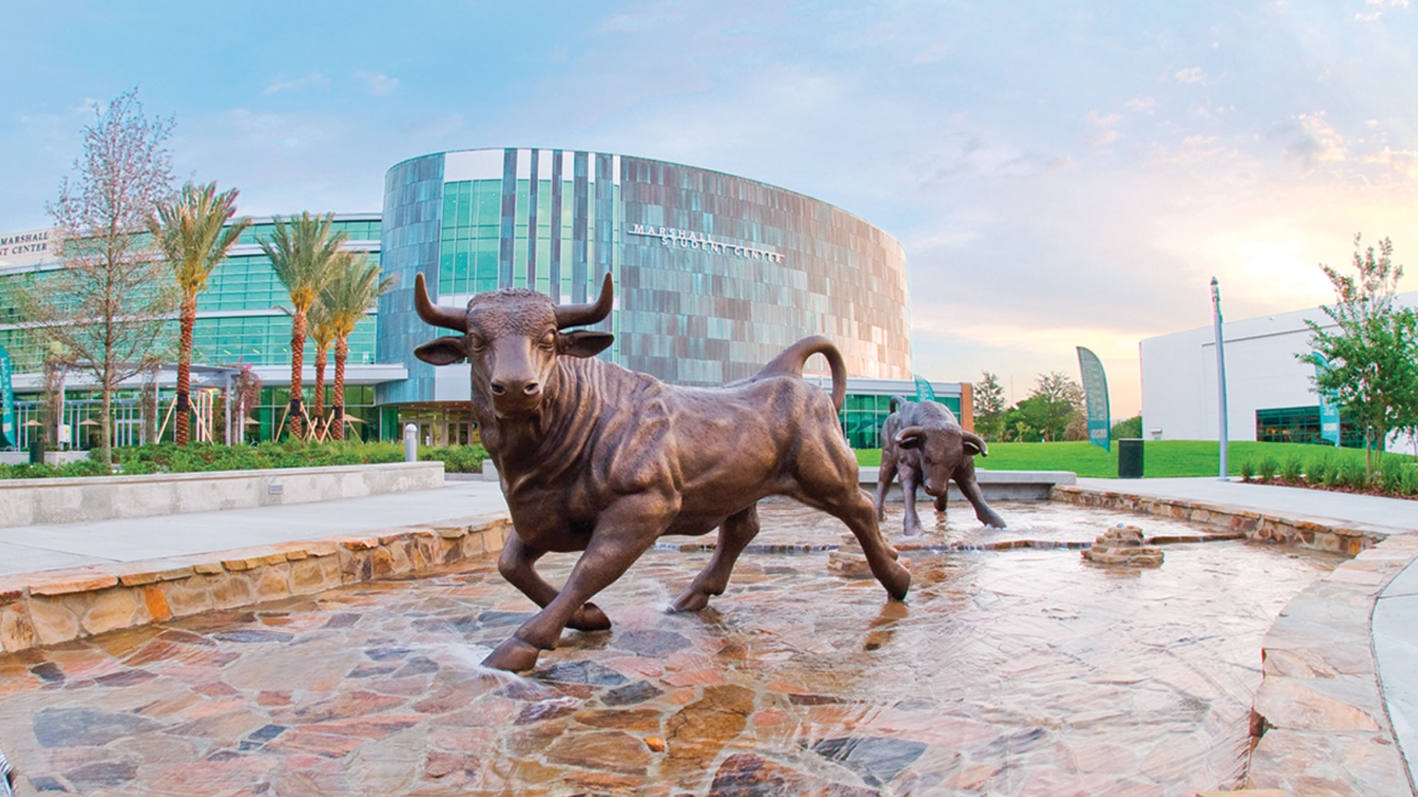 The impact of USF’s largest freshman class