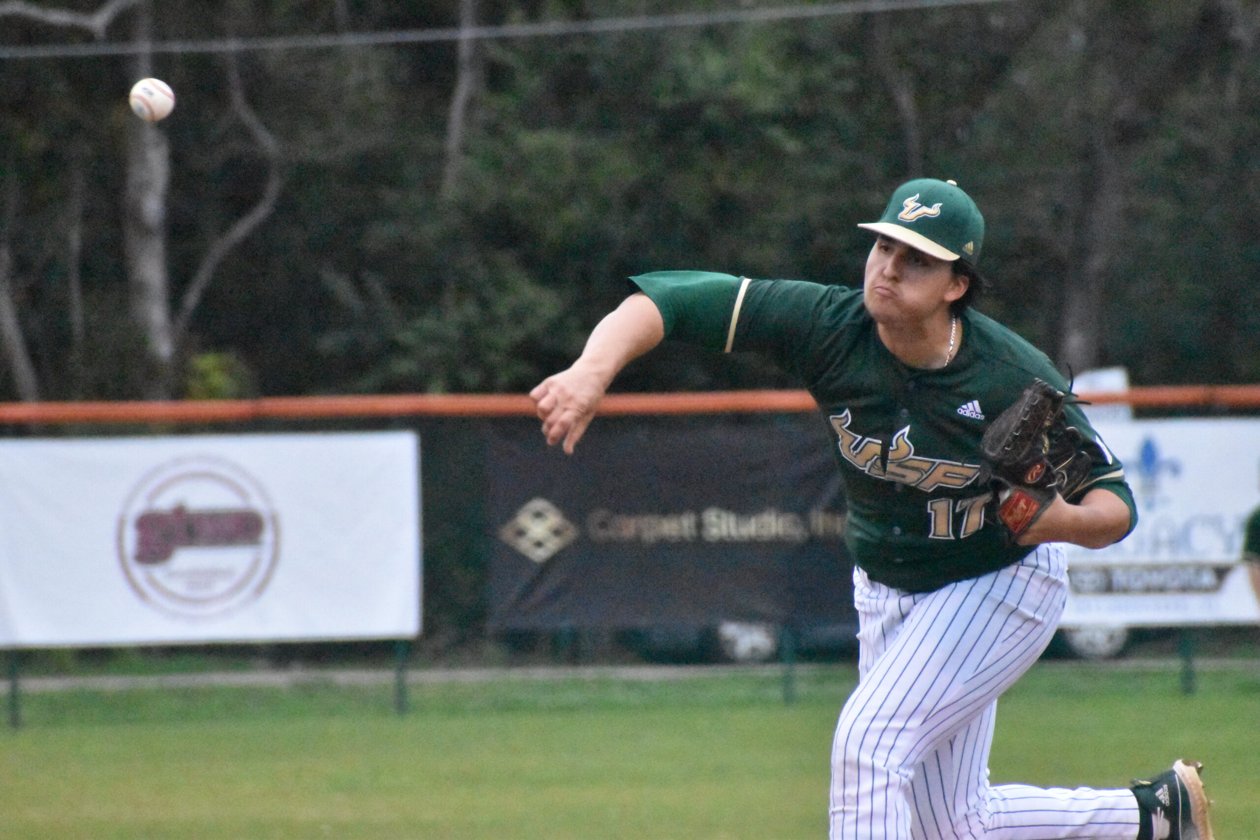 Bulls’ bats cold in loss to FAMU