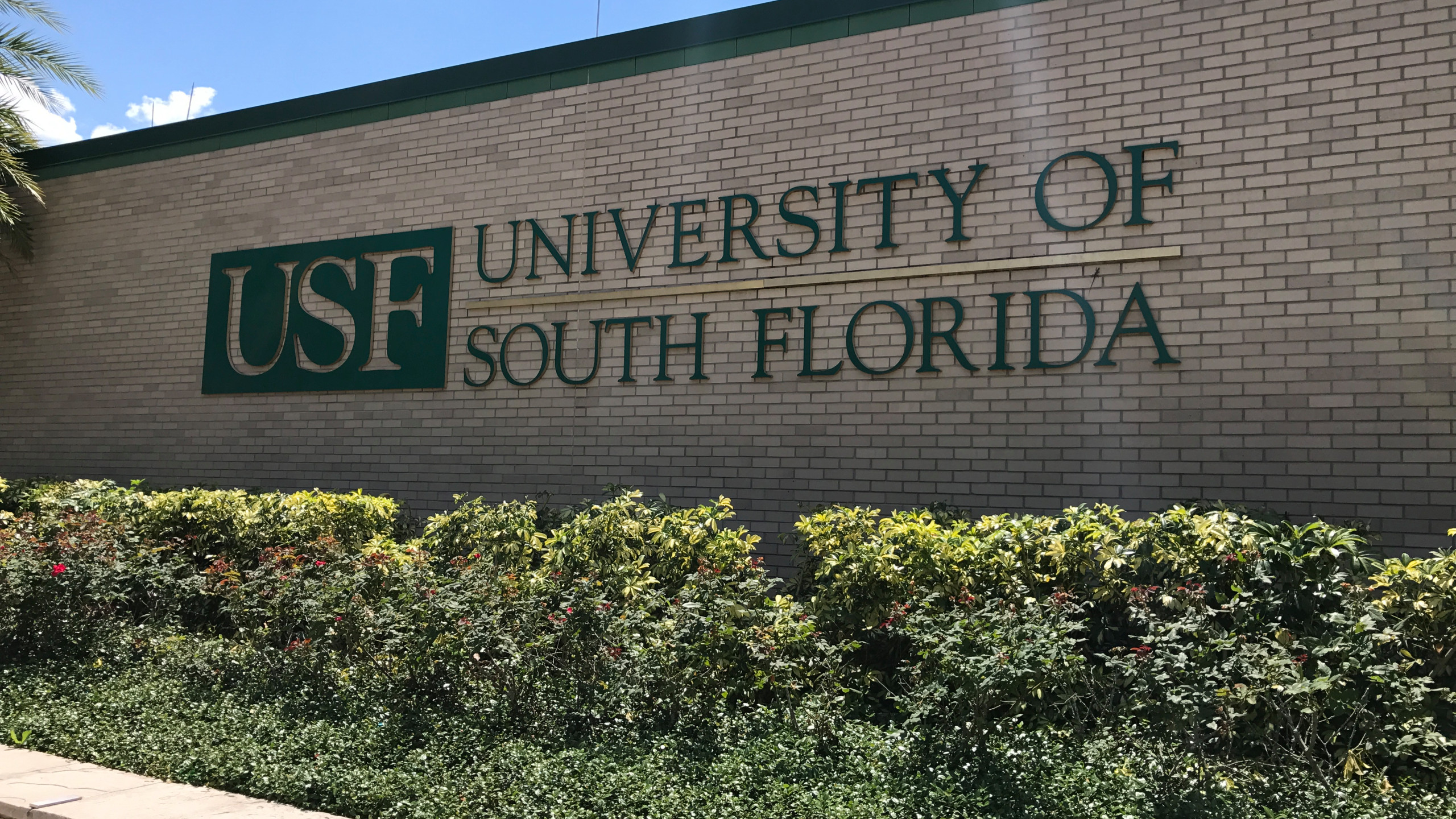 USF awaits federal guidance on how to spend additional $17.4 million in CARES Act funds