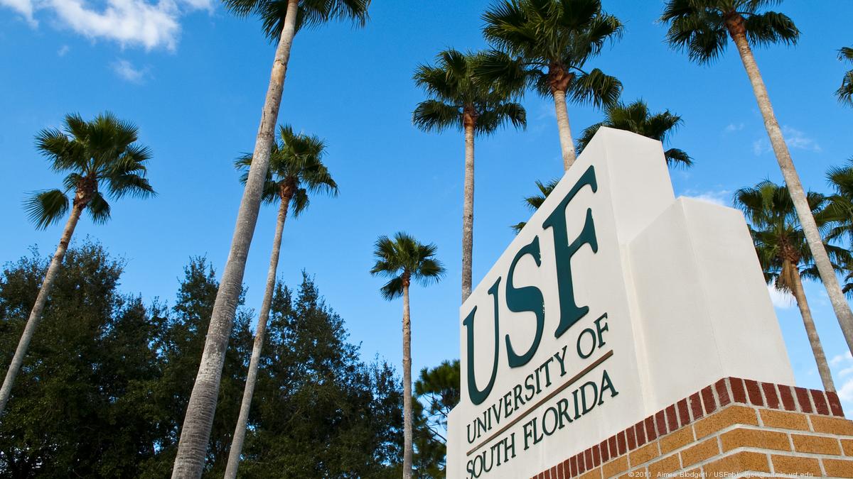 USF adapts coursework to current events, sparks discussion on importance among students, faculty 