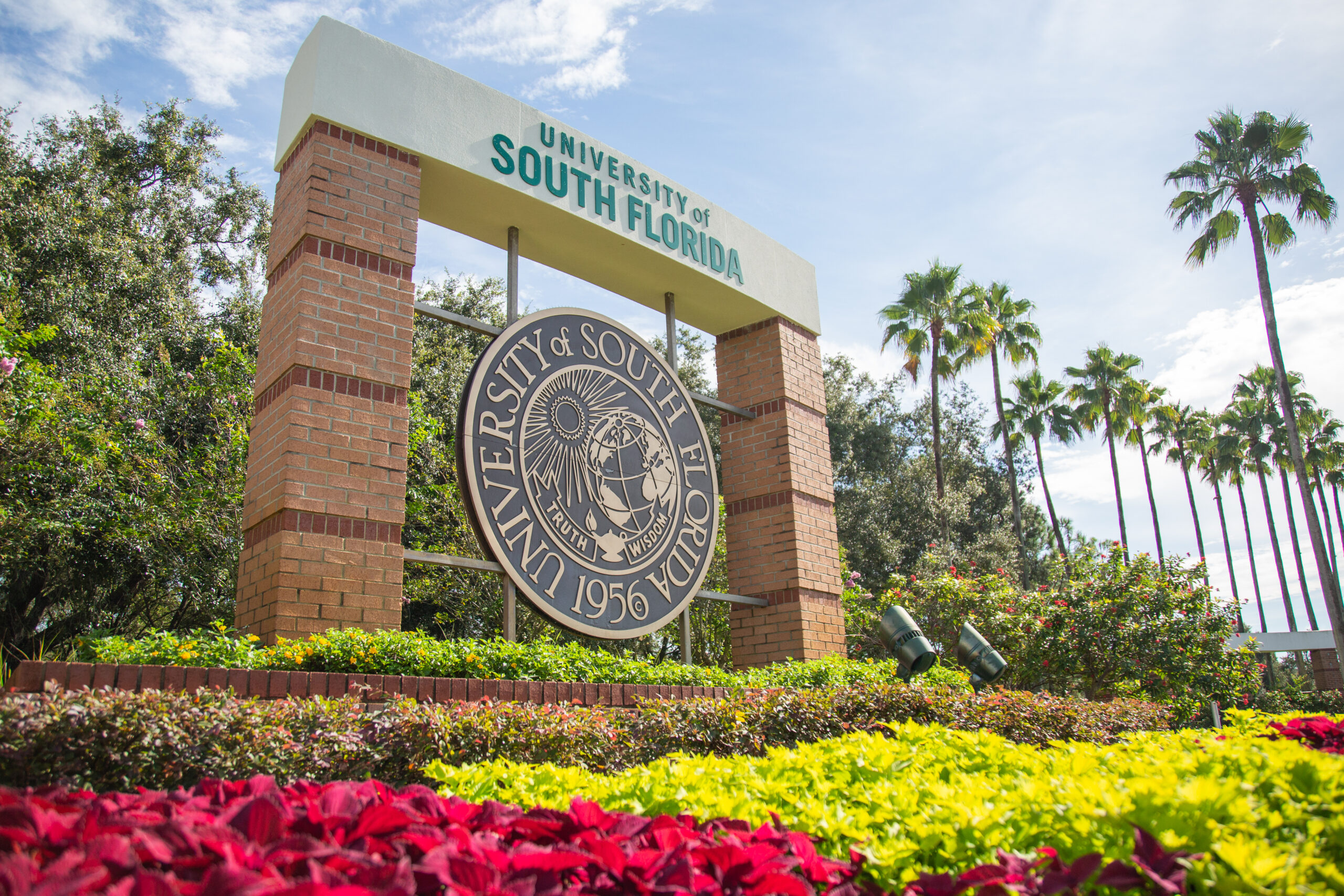 USF tackles systemic racism with resources, dialogue, programs