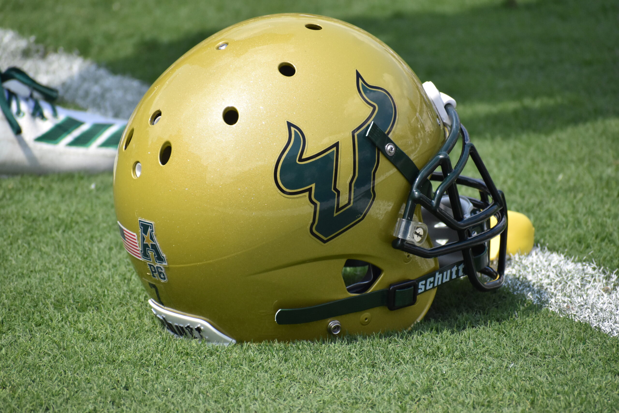 USF to play Notre Dame, report says