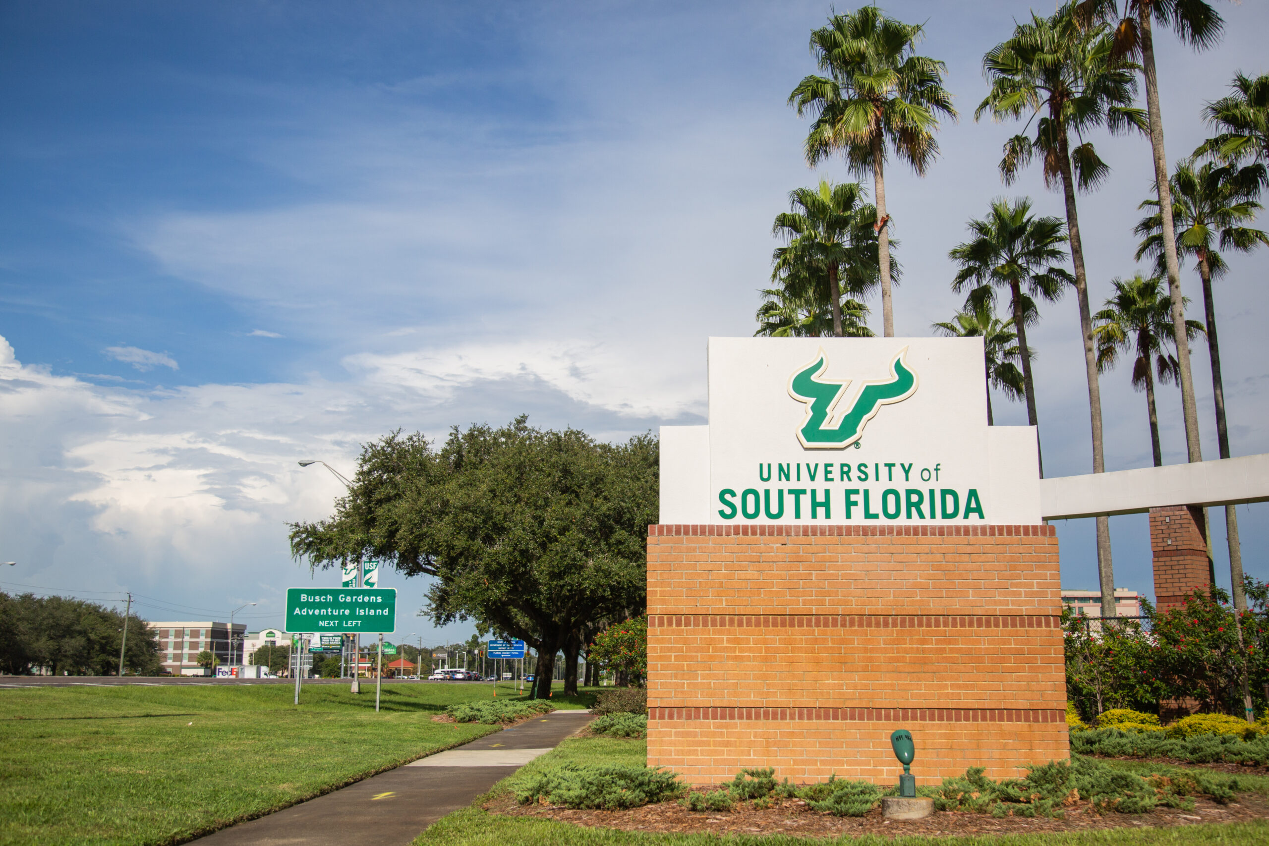 USF to launch team focused on increasing Black student enrollment