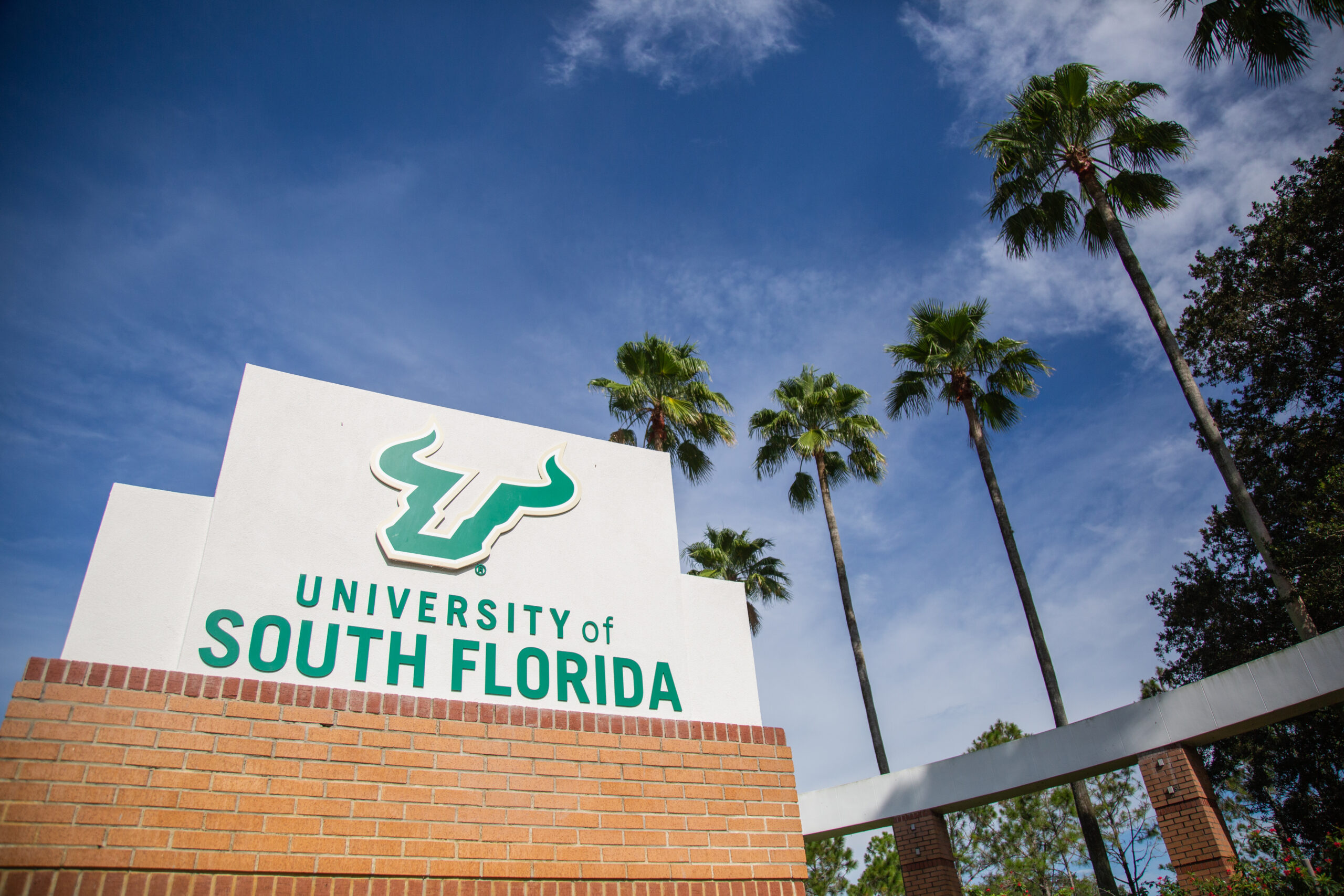 USF research grant program selects proposals to study systemic racism 