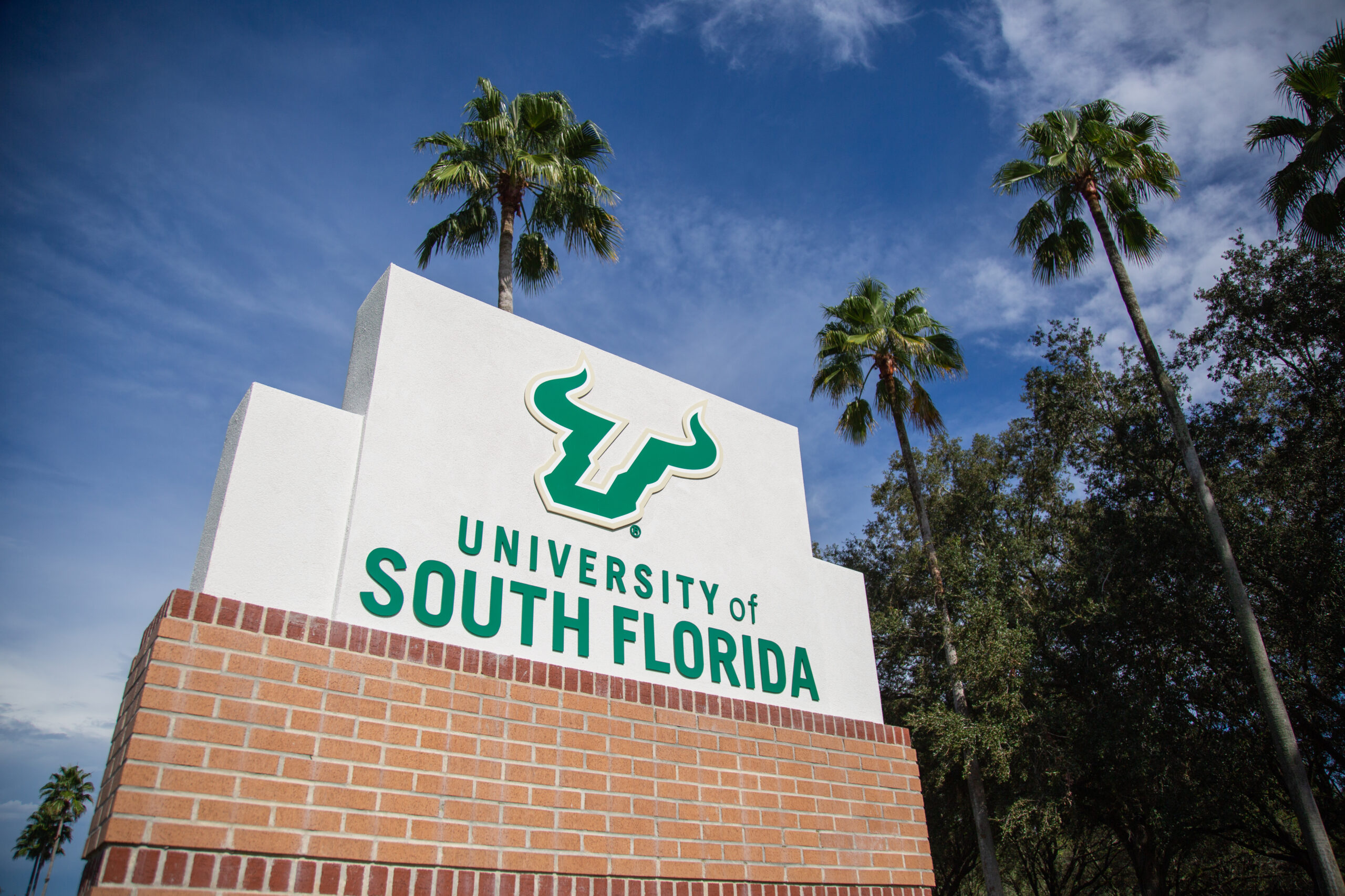 USF to offer more hybrid, fewer fully online classes in spring