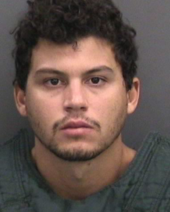 Former USF baseball player arrested, faces felony charges