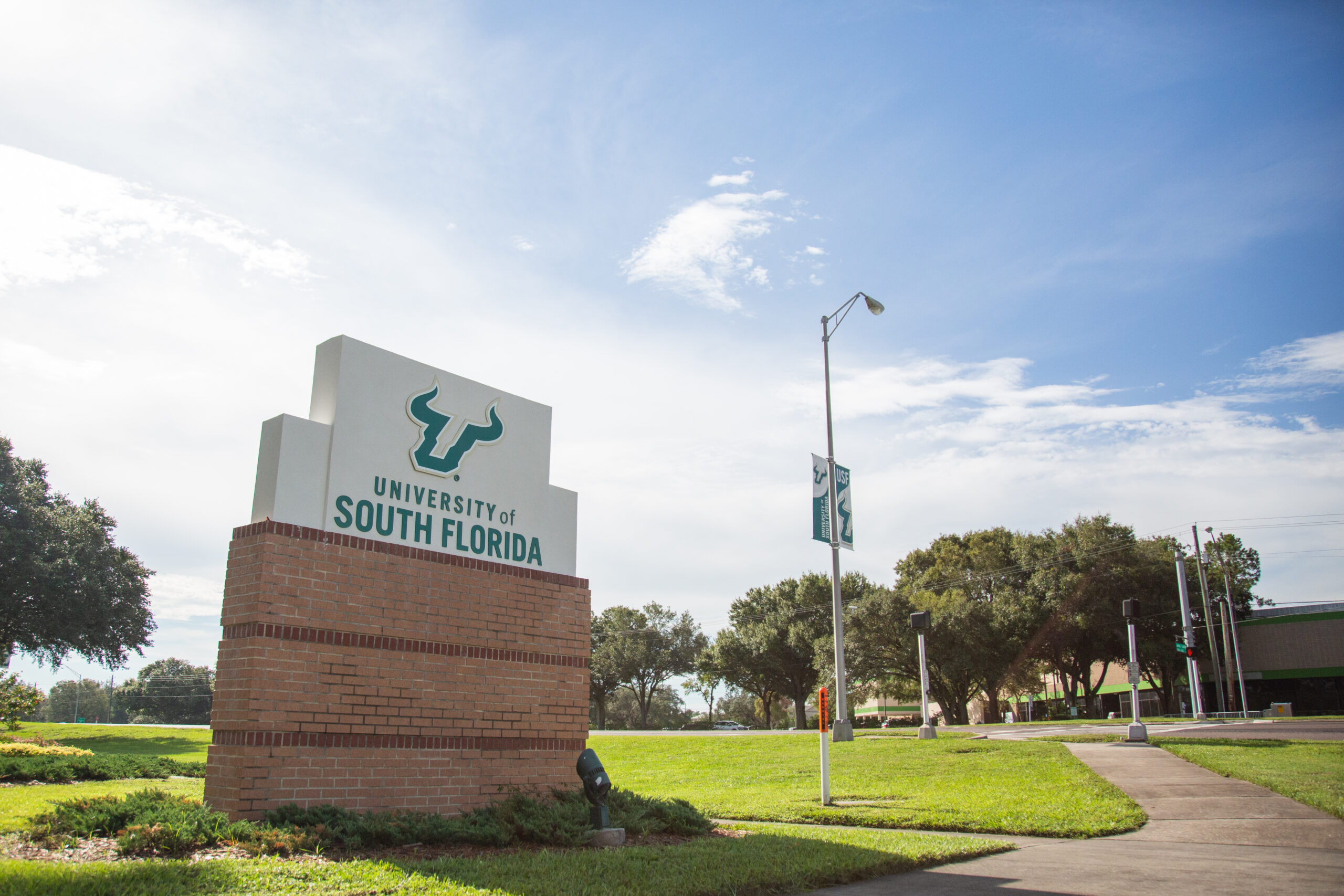 Public health professors advise caution to USF students traveling over break