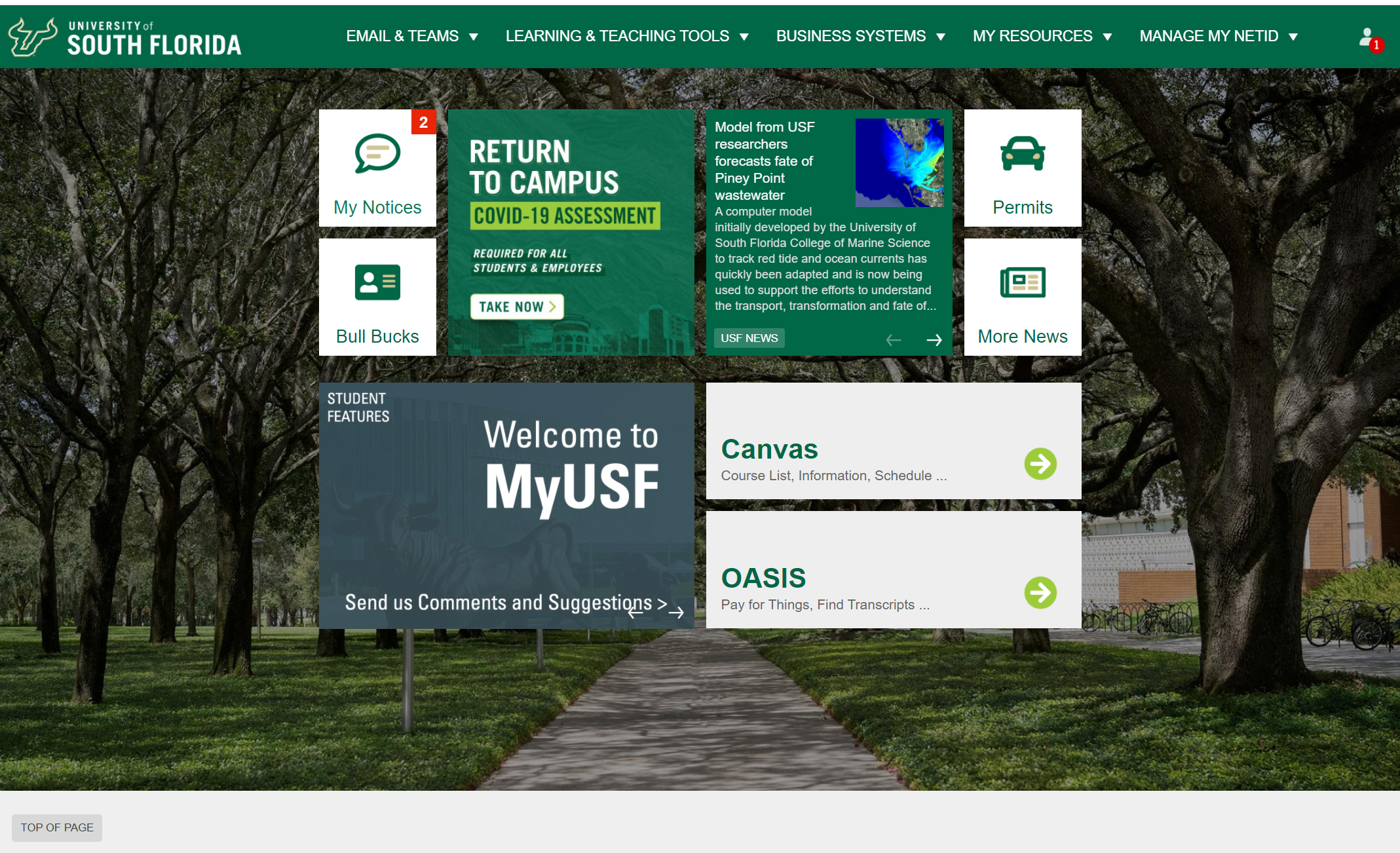 MyUSF updates to continue throughout summer and fall