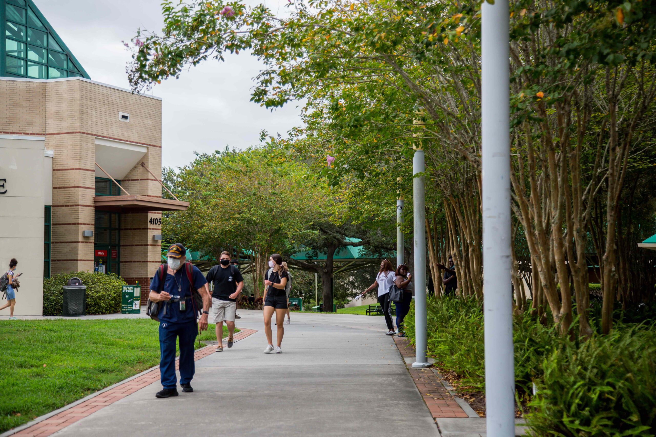 Admissions, enrollment rise as USF prepares for pre-COVID-19 semesters