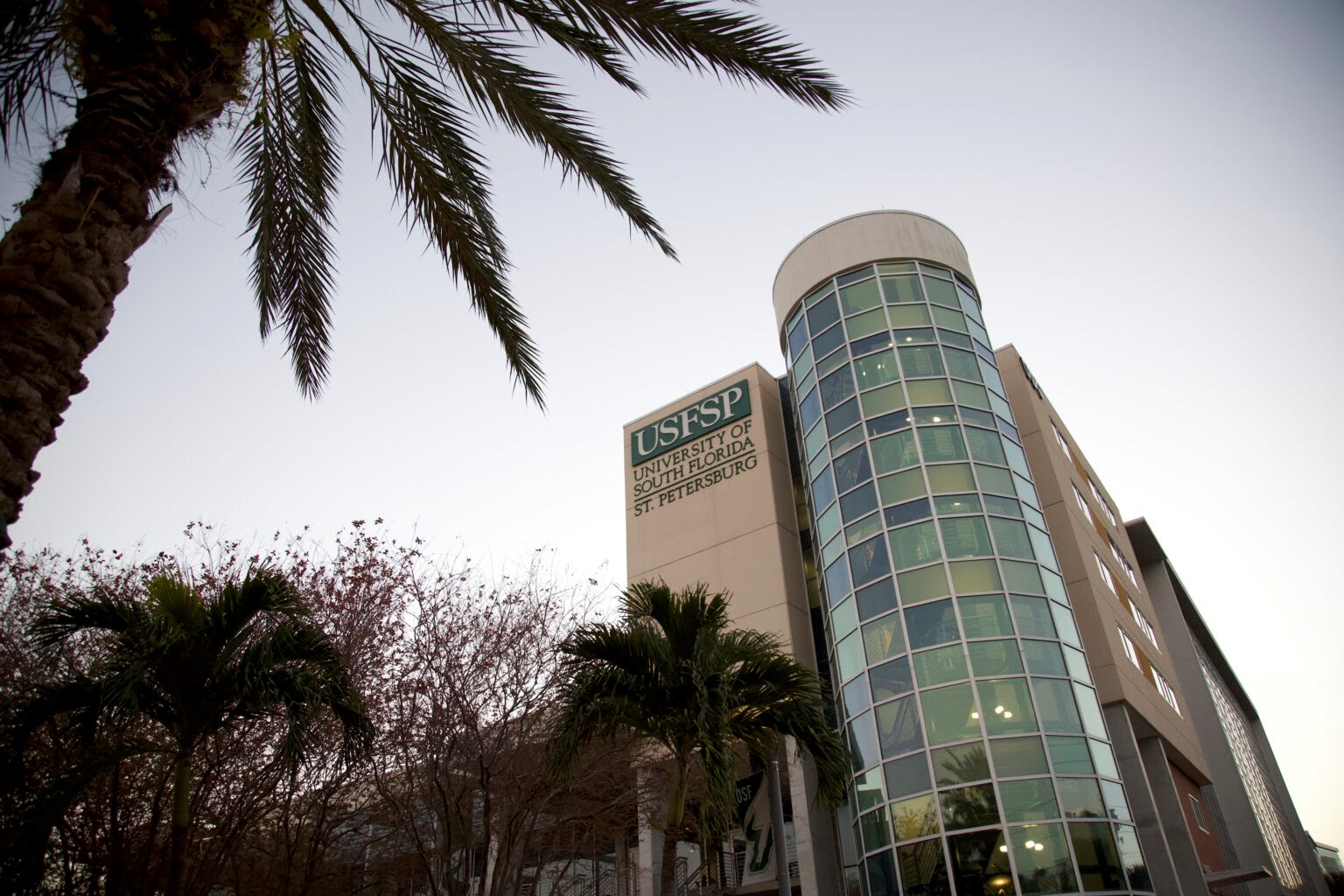 USF admission redirect helped amass 795 new students for USF St. Pete