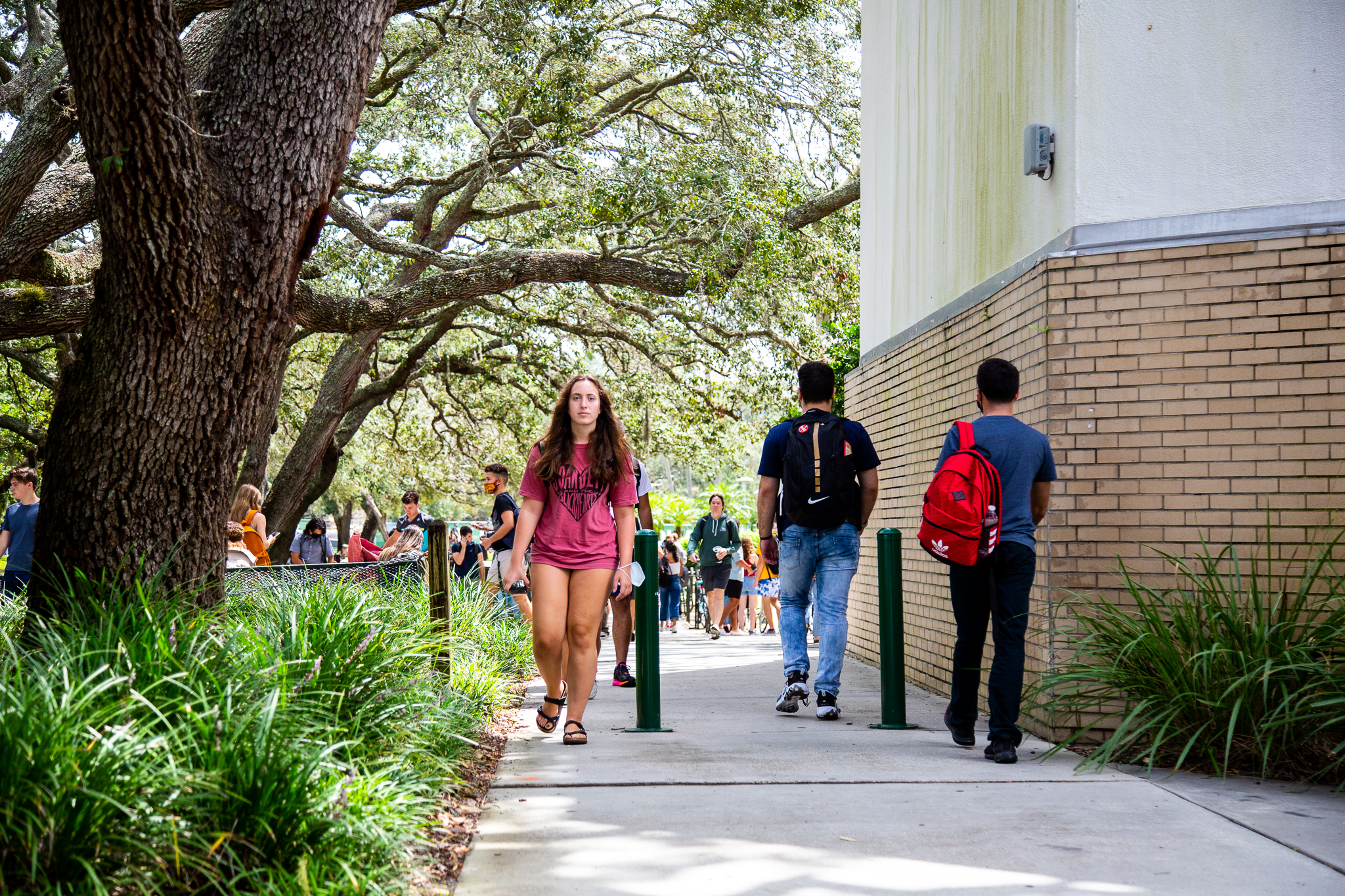 OPINION: USF should include translated texts in more courses
