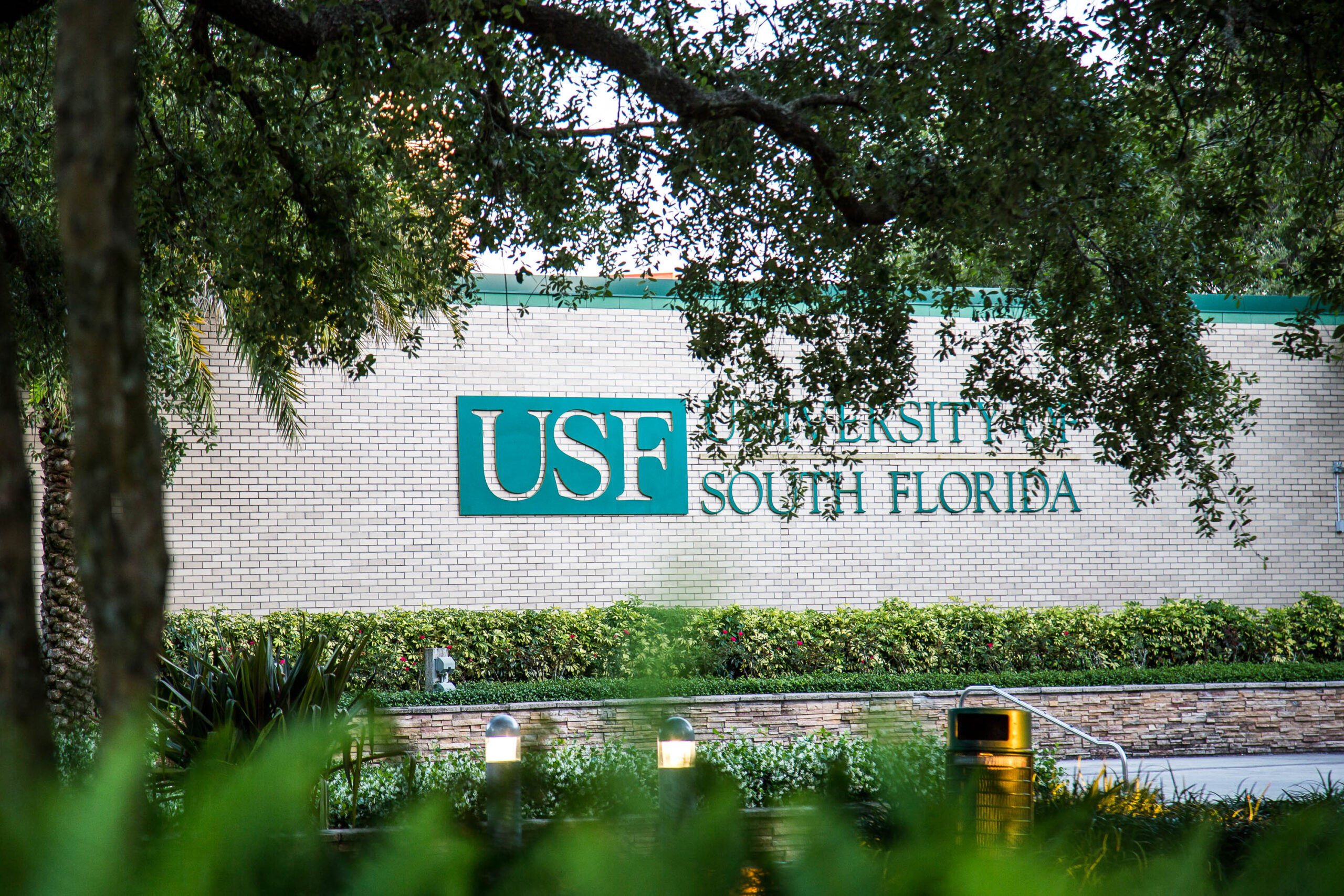 USF community gives input in presidential search during town hall