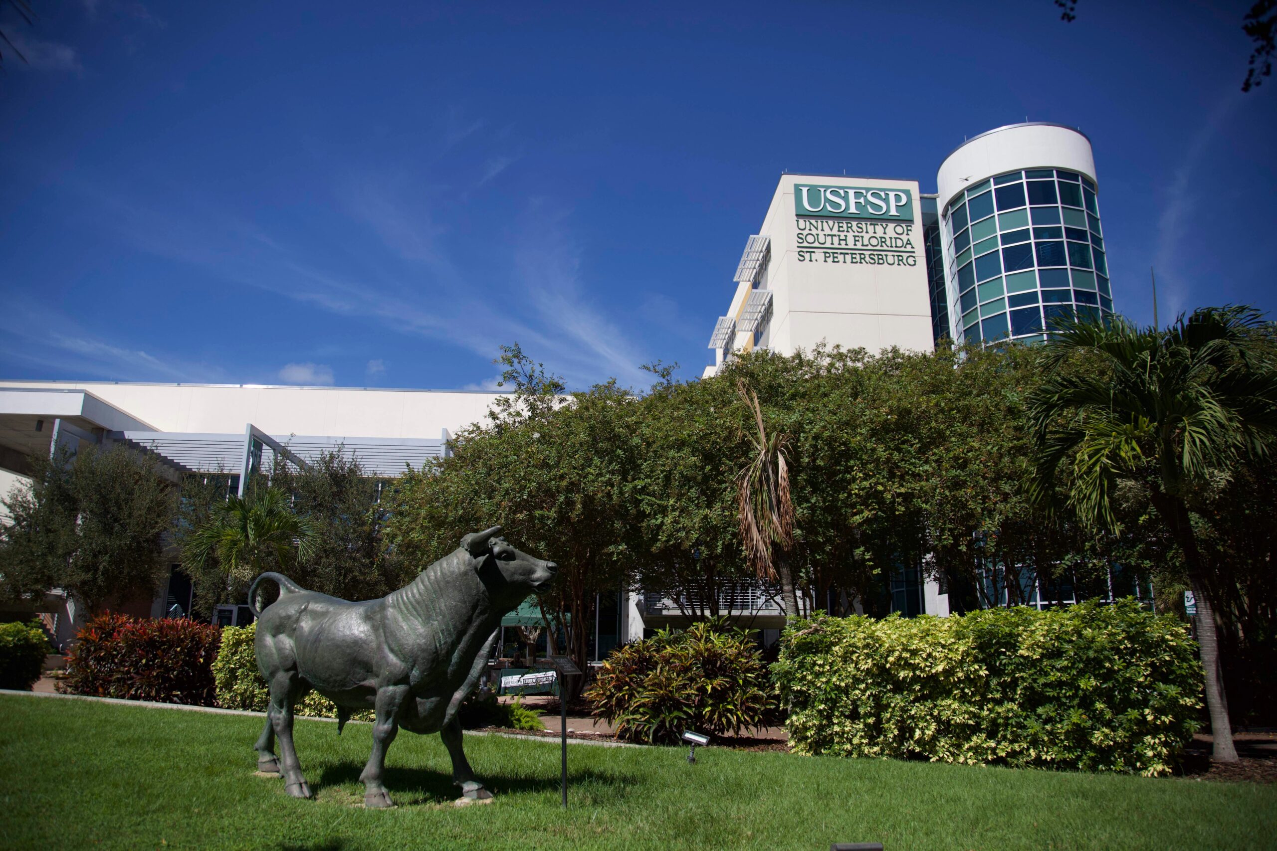 USF to design new Climate Action Plan focused on sustainability