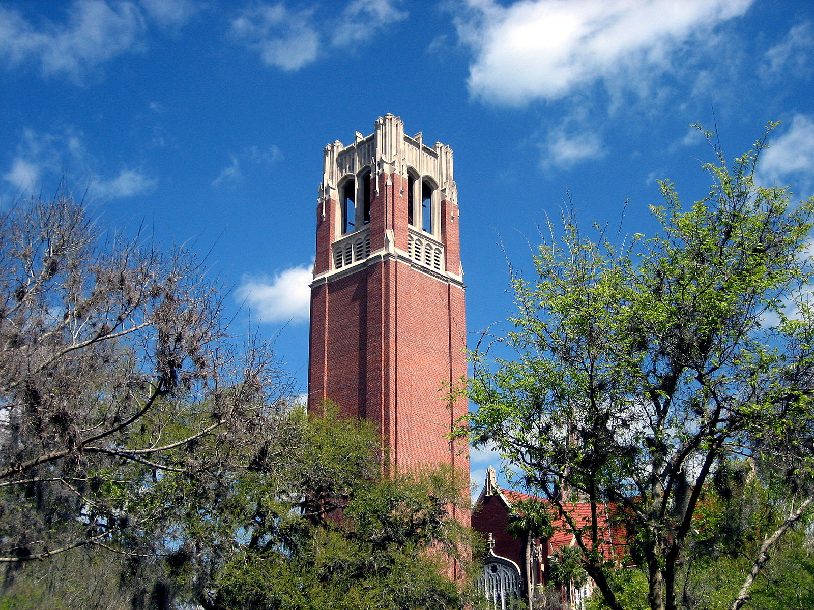 USF faculty union decries UF’s suppression of academic freedom rights