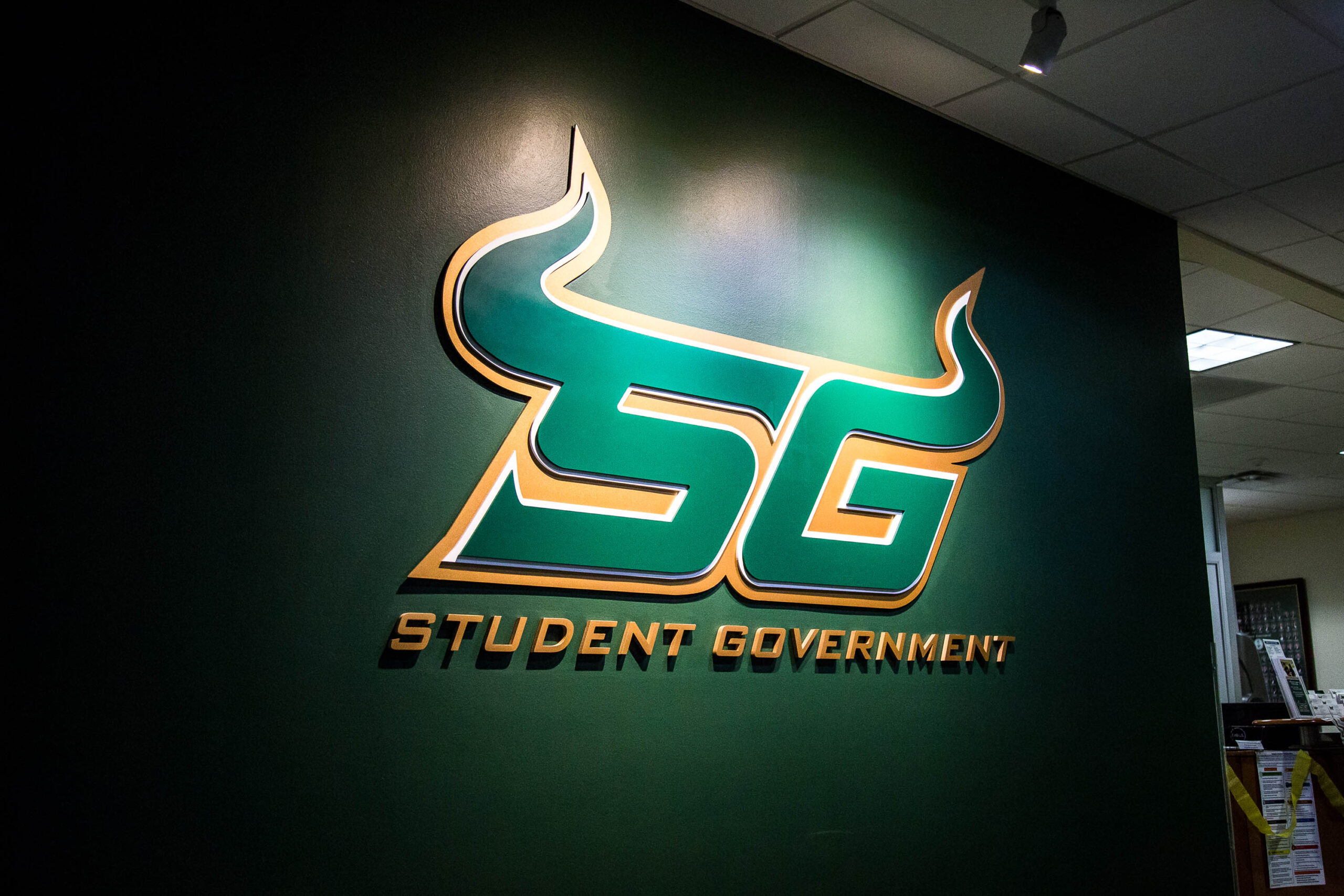 New SG position focuses on universitywide diversity efforts