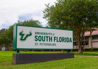 USF St. Pete competes for $160 million National Science Foundation grant