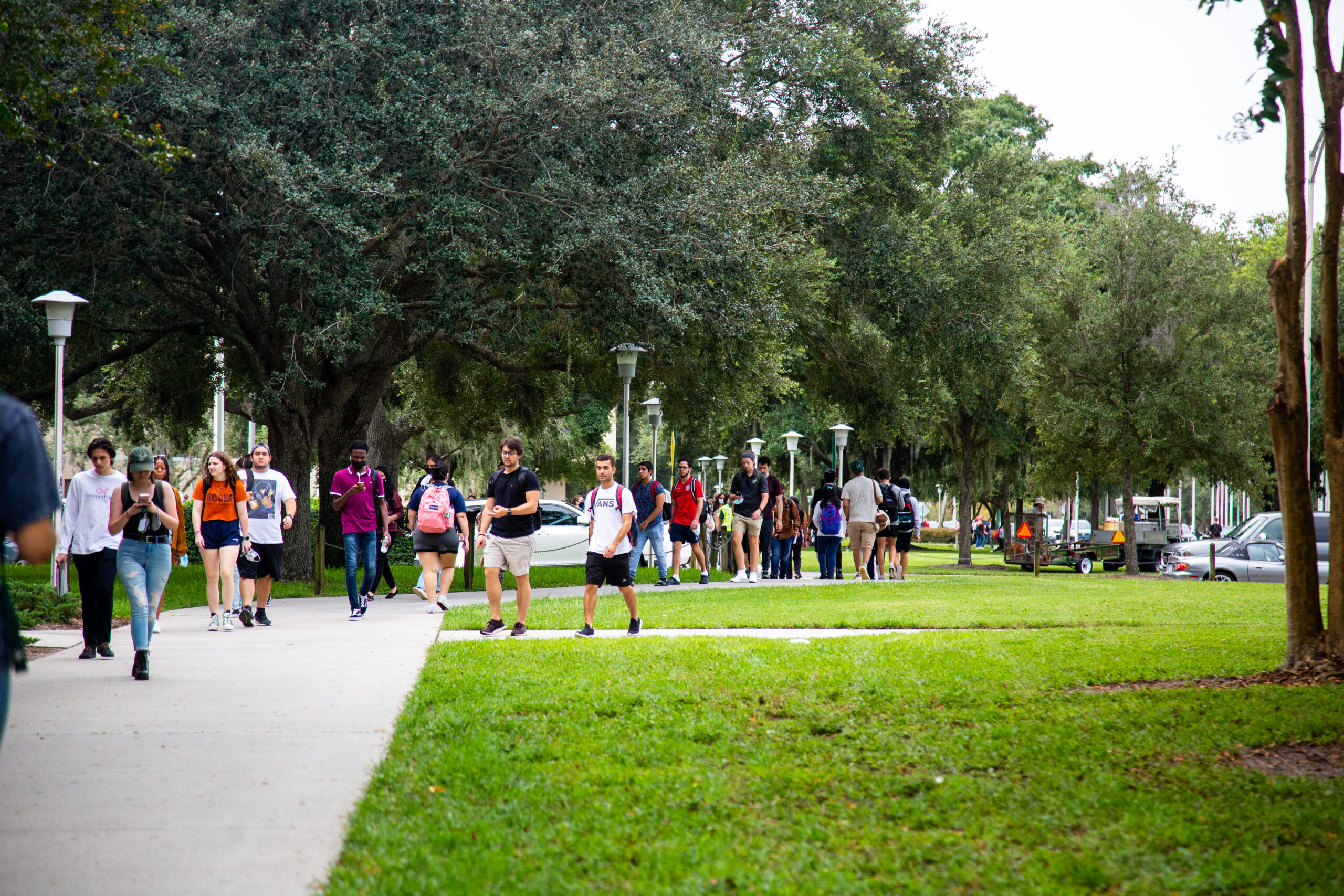 Students express safety concerns in Tampa, on campus picture