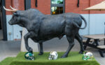 anatomical correct bull ushering the way for people attending usf football event