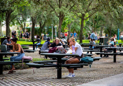 OPINION: USF can do more to help students tackle academic burnout
