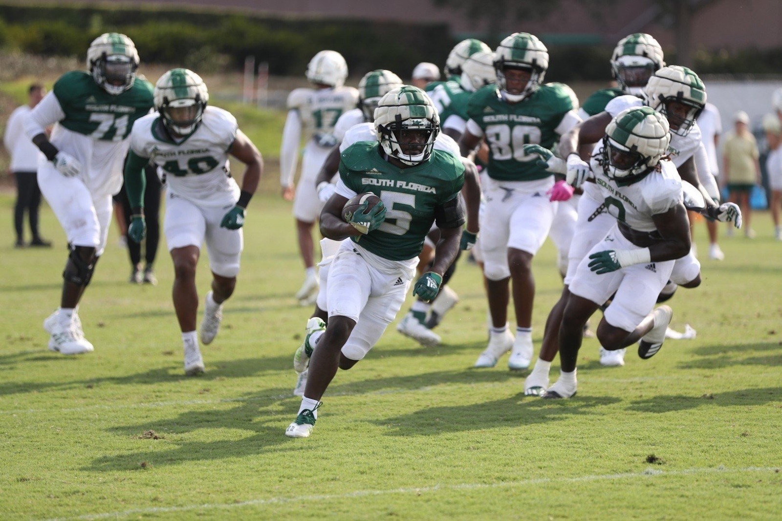 USF Football Preview: How Much Will Bulls Improve? - FanBuzz