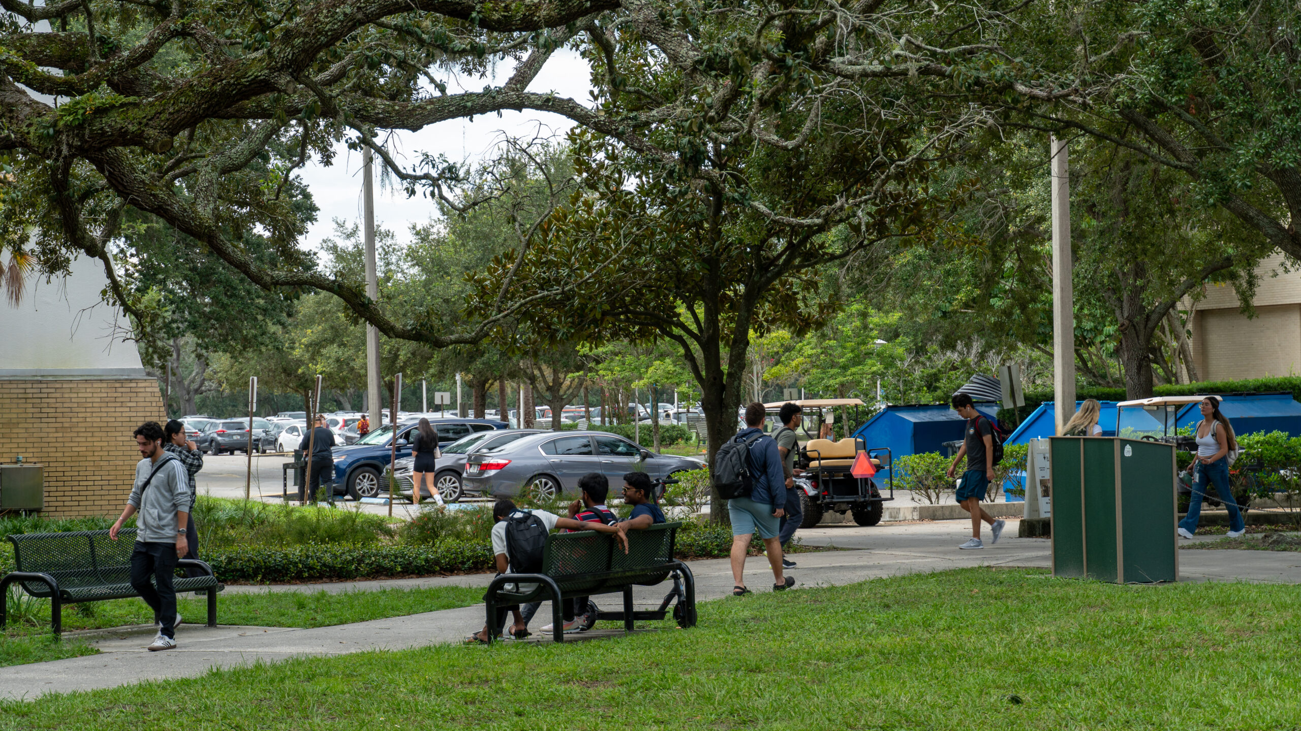 Is USF affordable? Students say they can barely pay for food, housing ...