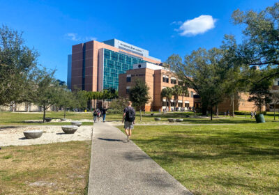 USF student found dead after falling from building, police say