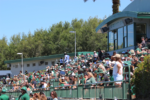 PHOTOS: Snapshots from USF football’s spring game