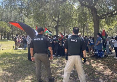 Several protestors at USF arrested during pro-Palestine encampment protest