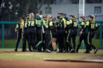 Here’s why these USF softball players chose their jersey numbers