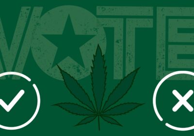 OPINION: USF students, light up the ballot this fall to legalize marijuana