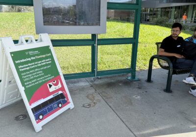 ‘Flamingo’ card to be required at USF for free HART bus rides