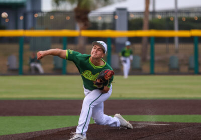 USF baseball stumbling after hot streak, falls to Stetson